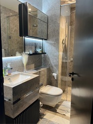 Martin Modern (D9), Condominium #524027731